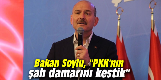 Bakan Soylu Pkk N N Ah Damar N Kestik