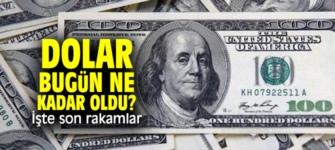 Dolar bugün ne kadar oldu İşte son rakamlar