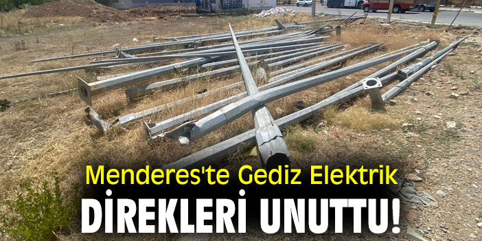 Menderes Te Gediz Elektrik Direkleri Unuttu