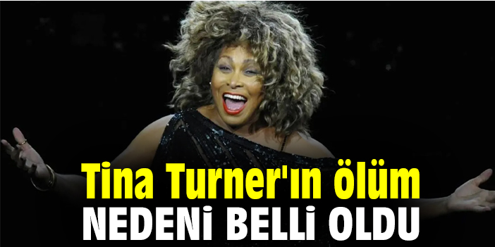 Tina Turner N L M Nedeni Belli Oldu