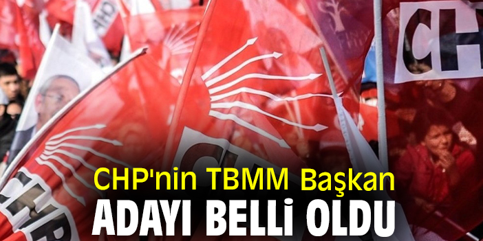 Chp Nin Tbmm Ba Kan Aday Belli Oldu