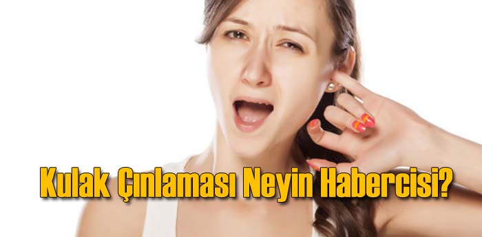 Kulak Nlamas Neyin Habercisi