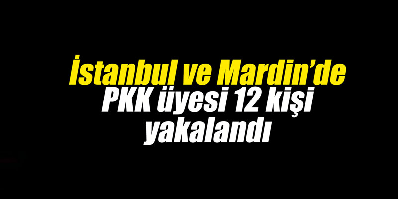 İstanbul ve Mardin’de PKK üyesi 12 kişi yakalandı