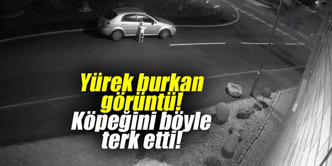Yürek burkan görüntü! Köpeğini böyle terk etti!