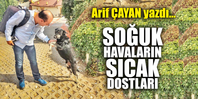 Soğuk havaların sıcak dostları