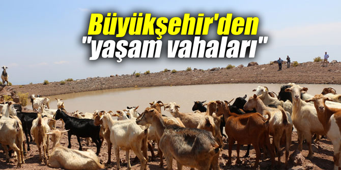 Büyükşehir'den "yaşam vahaları"
