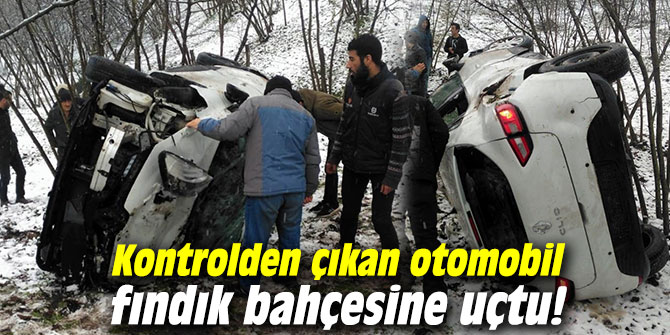 Kontrolden çıkan otomobil fındık bahçesine uçtu!