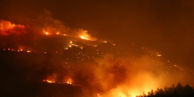 İzmir’de 2018’de 296 Ha. Orman Alanı Yandı