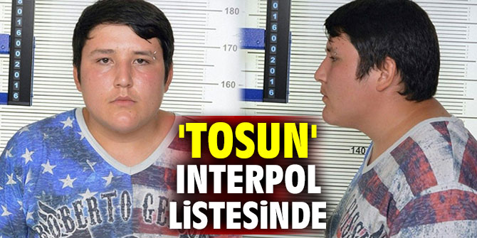 'Tosun' Interpol listesinde