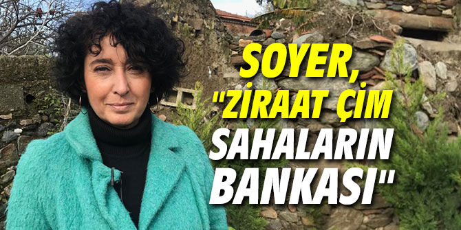Soyer, "Ziraat çim sahaların bankası"