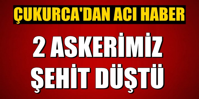 Çukurca'da yapılan operasyonda 2 askerimiz şehit düştü