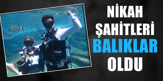 Nikah şahitleri balıklar oldu