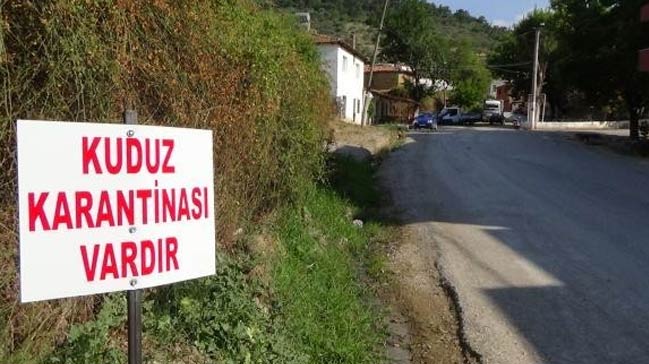 Dikkat O İlde Kuduz Alarmı, Karantina'ya Alındı!