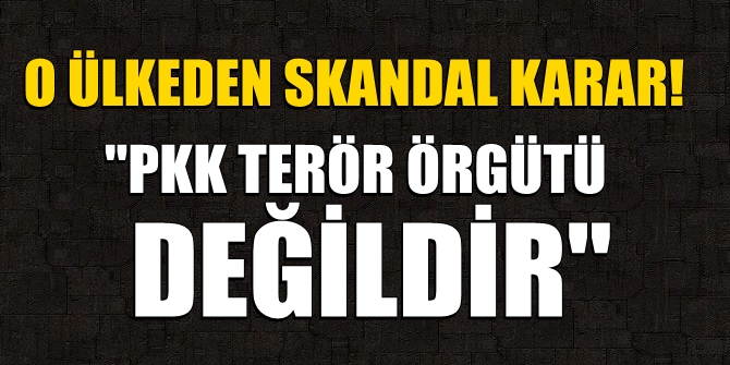 O ülkeden skandal karar! PKK terör örgütü değildir
