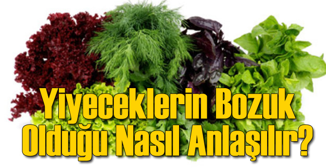 Yiyeceklerin Bayat Olduğu Nasıl Anlaşılır?