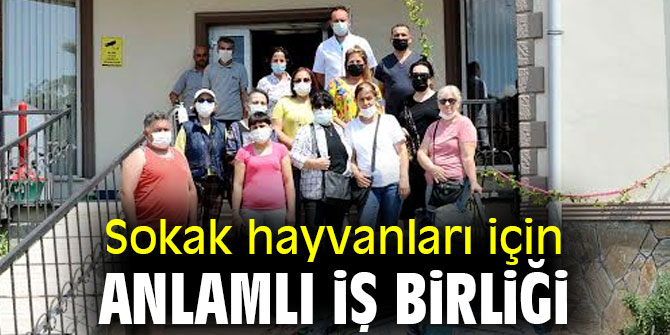 Sokak Hayvanlari Icin Anlamli Is Birligi