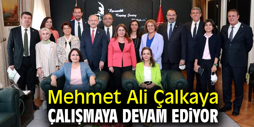 Mehmet Ali Çalkaya çalışmaya devam ediyor!