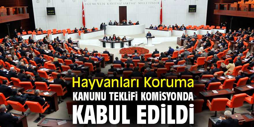 Hayvanları Koruma Kanunu kabul edildi