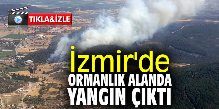 İzmir'de ormanlık alanda yangın çıktı