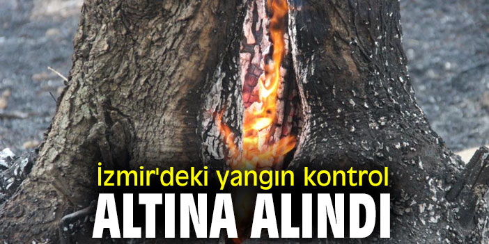 İzmir'deki yangın kontrol altına alındı