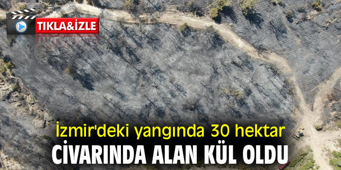 İzmir'deki yangında 30 hektar civarında alan kül oldu