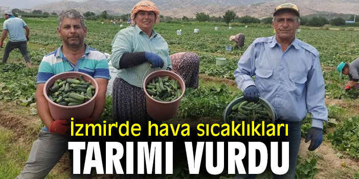 İzmir'de hava sıcaklıkları tarımı vurdu