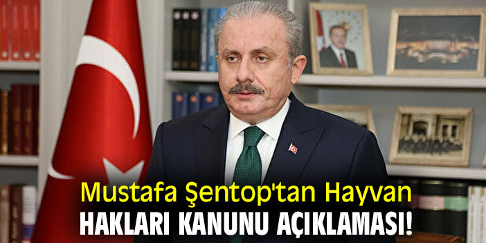 Mustafa Şentop'tan Hayvan Hakları Kanunu açıklaması!