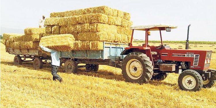 “Gübreden sonra saman fiyatı da uçuşa geçti”