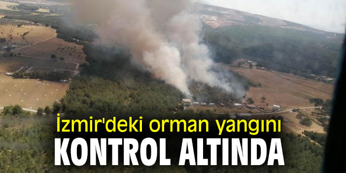 İzmir'de orman yangını