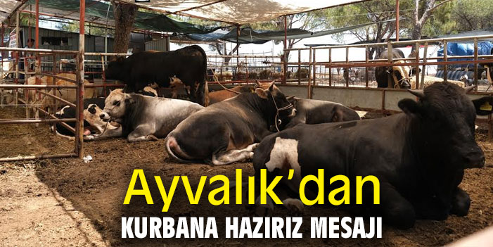 Ayvalık'dan kurbana hazırız mesajı
