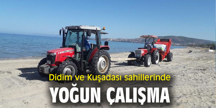 Didim ve Kuşadası sahillerinde yoğun çalışma