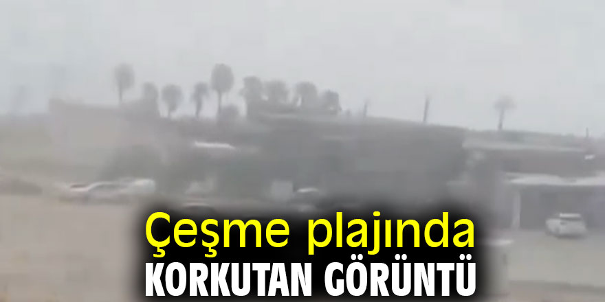 Çeşme plajında korkutan görüntü