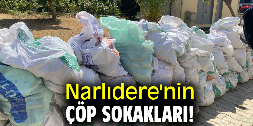 Narlıdere'nin çöp sokakları!