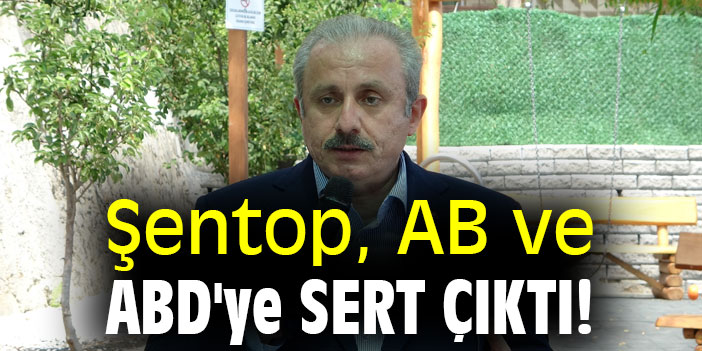 Şentop, AB ve ABD'ye sert çıktı!
