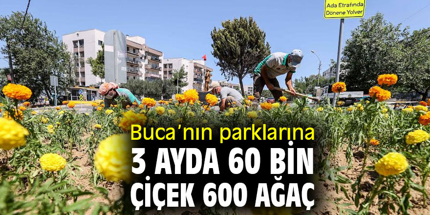 Buca’nın parklarına 3 ayda 60 bin çiçek 600 ağaç