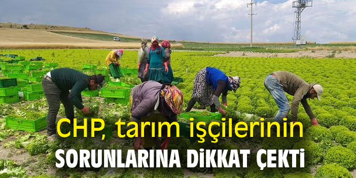 Milletvekili Gürer, tarım işçilerinin dramına dikkat çekti