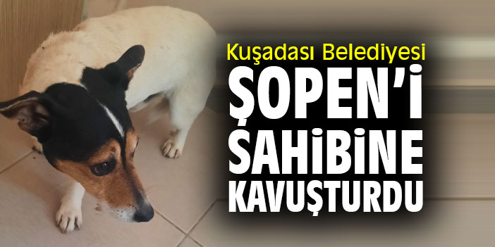 Kuşadası Belediyesi Şopen'i sahibine kavuşturdu