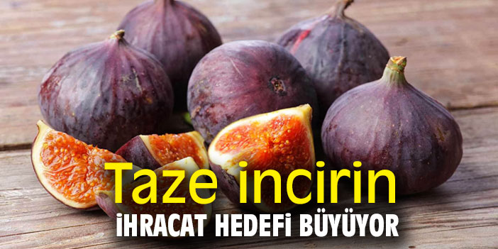 Meşhur incir diyar diyar geziyor!