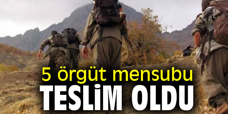 5 örgüt mensubu teslim oldu
