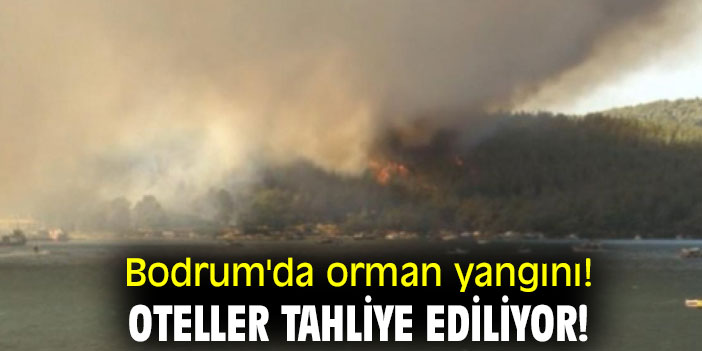 Bodrum'da orman yangını! Oteller tahliye ediliyor!