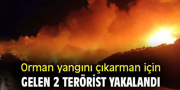 Orman yangını çıkarmak için gelen 2 terörist yakalandı