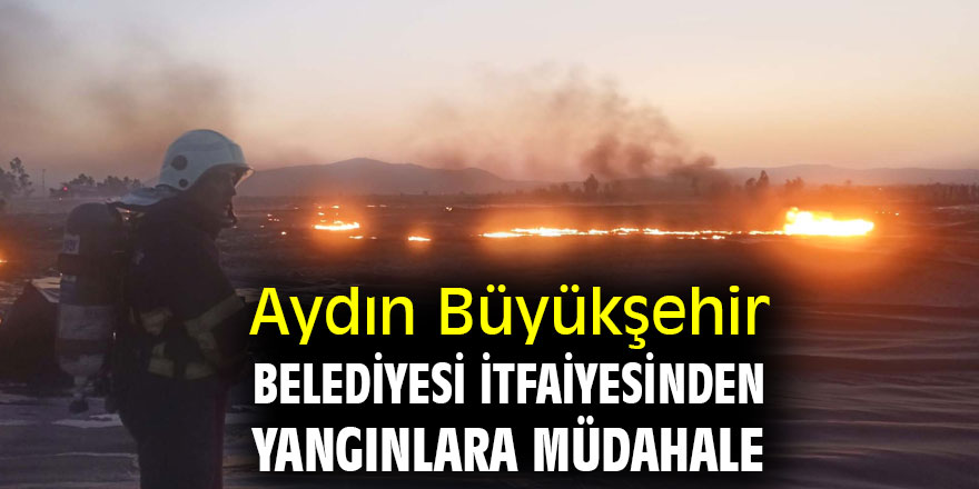 Aydın Büyükşehir Belediyesi İtfaiyesinden yangınlara müdahale