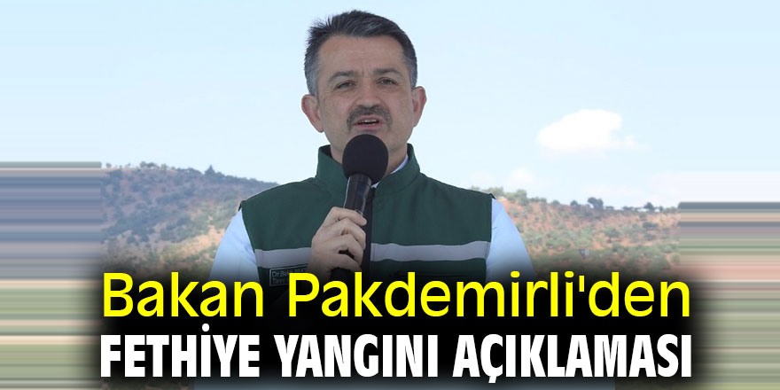 Bakan Pakdemirli'den Fethiye yangını açıklaması