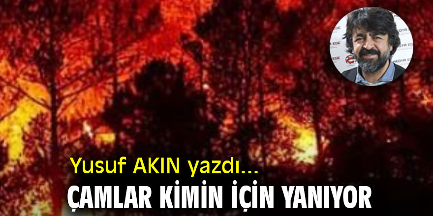 ÇAMLAR KİMİN İÇİN YANIYOR