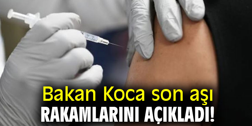 Bakan Koca son aşı rakamlarını duyurdu!