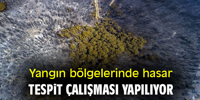 Yangın bölgelerinde hasar tespit çalışması yapılıyor