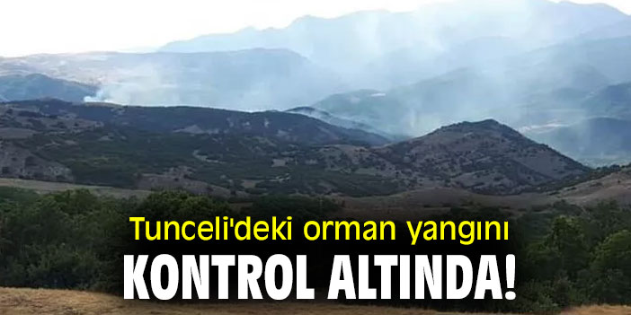 Tunceli'deki orman yangını kontrol altında!