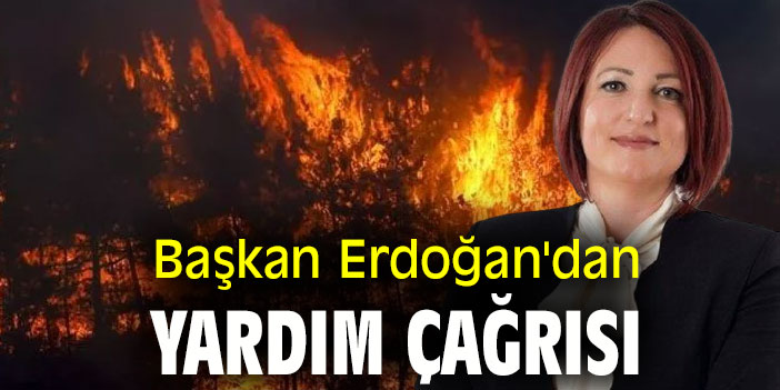 Başkan Erdoğan'dan yardım çağrısı