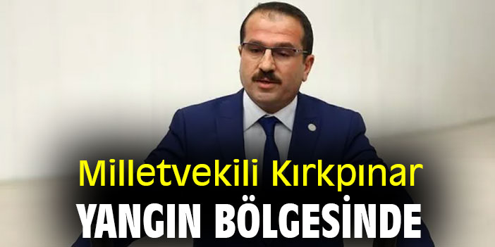 Milletvekili Kırkpınar yangın bölgesinde