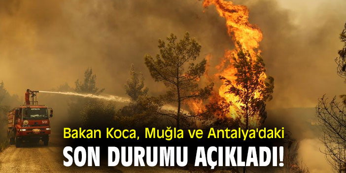 Bakan Koca, Muğla ve Antalya'daki son durumu açıkladı!